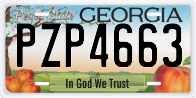 GA license plate PZP4663