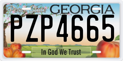 GA license plate PZP4665