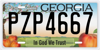GA license plate PZP4667