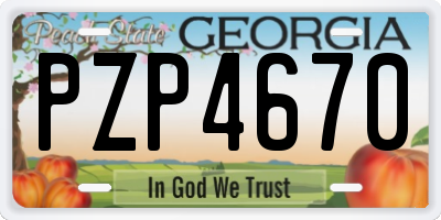 GA license plate PZP4670