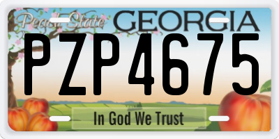 GA license plate PZP4675
