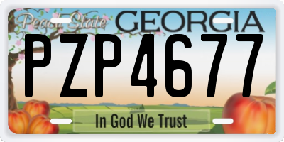 GA license plate PZP4677