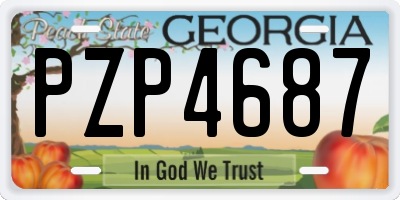 GA license plate PZP4687