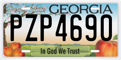 GA license plate PZP4690