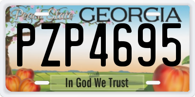 GA license plate PZP4695