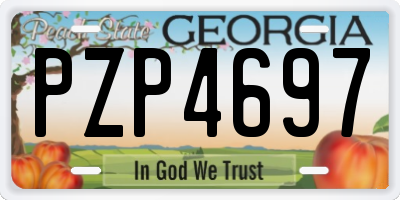 GA license plate PZP4697