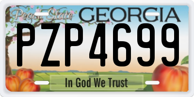 GA license plate PZP4699