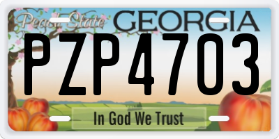 GA license plate PZP4703