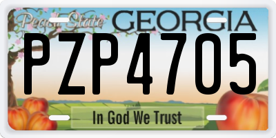 GA license plate PZP4705