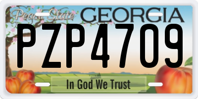 GA license plate PZP4709