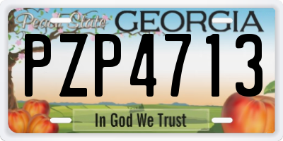 GA license plate PZP4713