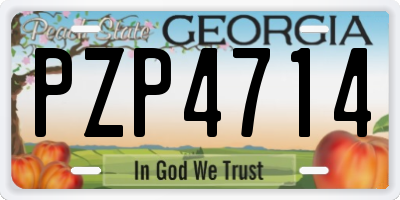 GA license plate PZP4714