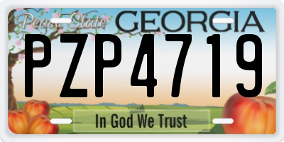 GA license plate PZP4719
