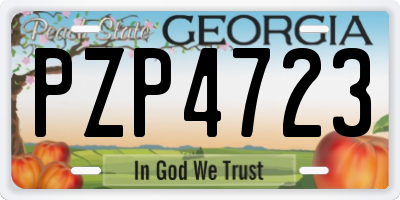 GA license plate PZP4723
