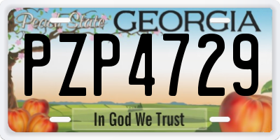 GA license plate PZP4729