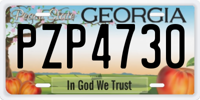 GA license plate PZP4730