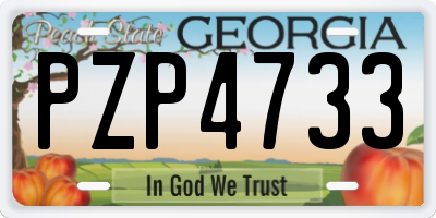 GA license plate PZP4733