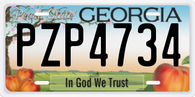 GA license plate PZP4734