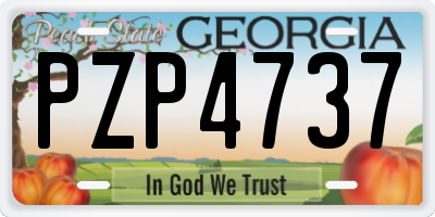 GA license plate PZP4737