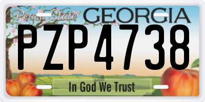 GA license plate PZP4738