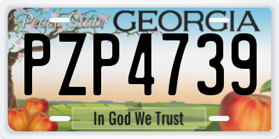 GA license plate PZP4739