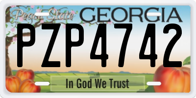 GA license plate PZP4742