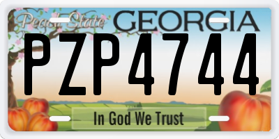 GA license plate PZP4744