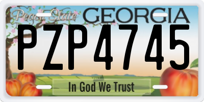GA license plate PZP4745