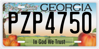 GA license plate PZP4750