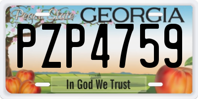 GA license plate PZP4759