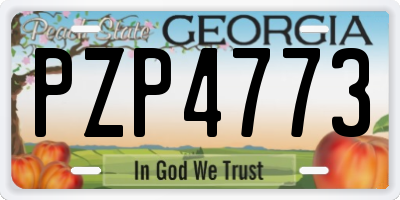 GA license plate PZP4773