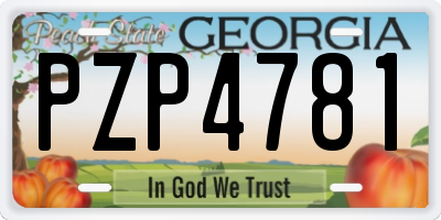 GA license plate PZP4781