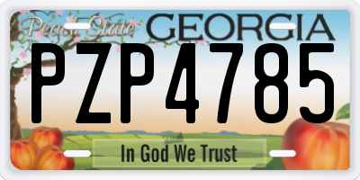 GA license plate PZP4785