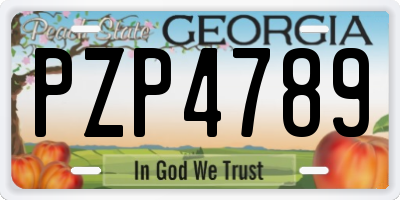 GA license plate PZP4789