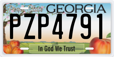 GA license plate PZP4791