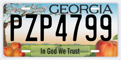 GA license plate PZP4799