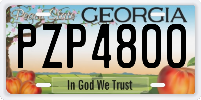 GA license plate PZP4800