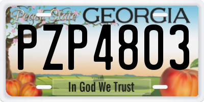 GA license plate PZP4803