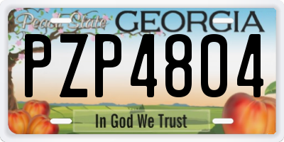 GA license plate PZP4804