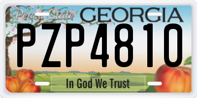 GA license plate PZP4810