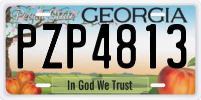 GA license plate PZP4813