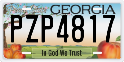 GA license plate PZP4817