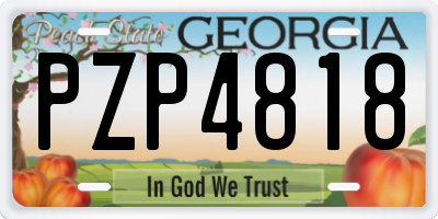 GA license plate PZP4818