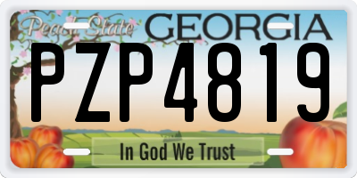 GA license plate PZP4819