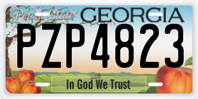 GA license plate PZP4823