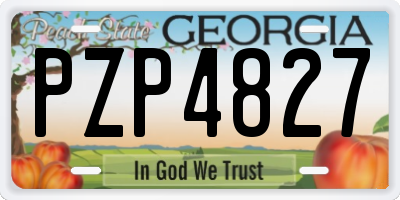 GA license plate PZP4827