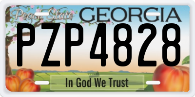 GA license plate PZP4828
