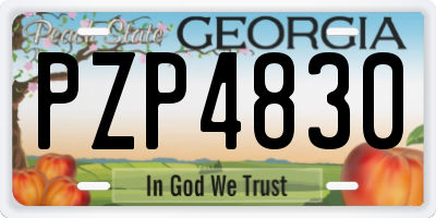 GA license plate PZP4830