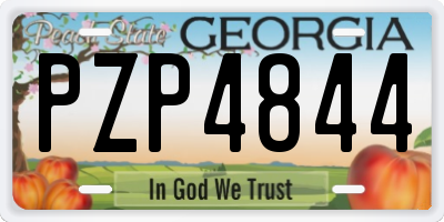 GA license plate PZP4844