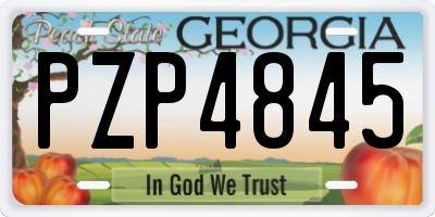 GA license plate PZP4845